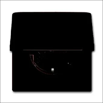 ABB BUSCH-JAEGER 2CKA002064A0286 Steckdose