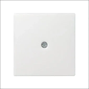 GIRA 027427 Bauteil / Zentralplatte Kommunikations-Schalterprogramm