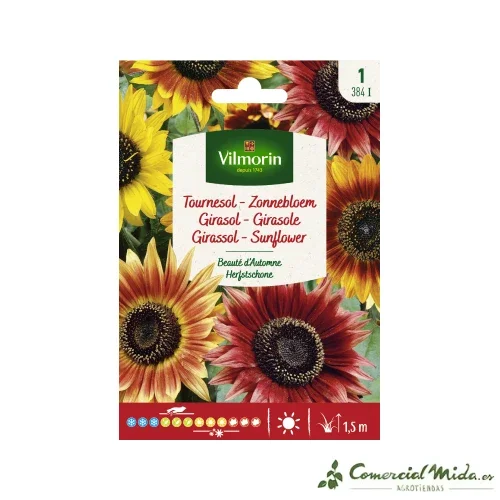 VILMORIN Semillas Girasol Belleza de Otoño