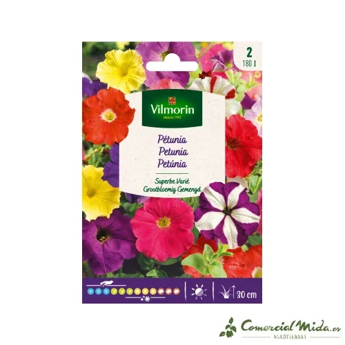 VILMORIN Samen Petunie Superb Gemischt