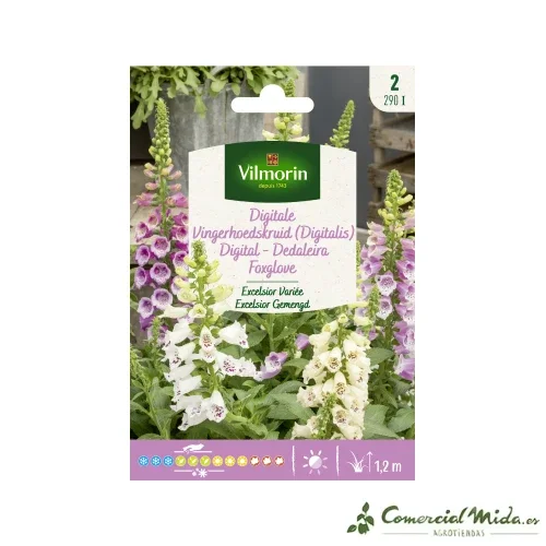 VILMORIN Samen Digital Excelsior Variert