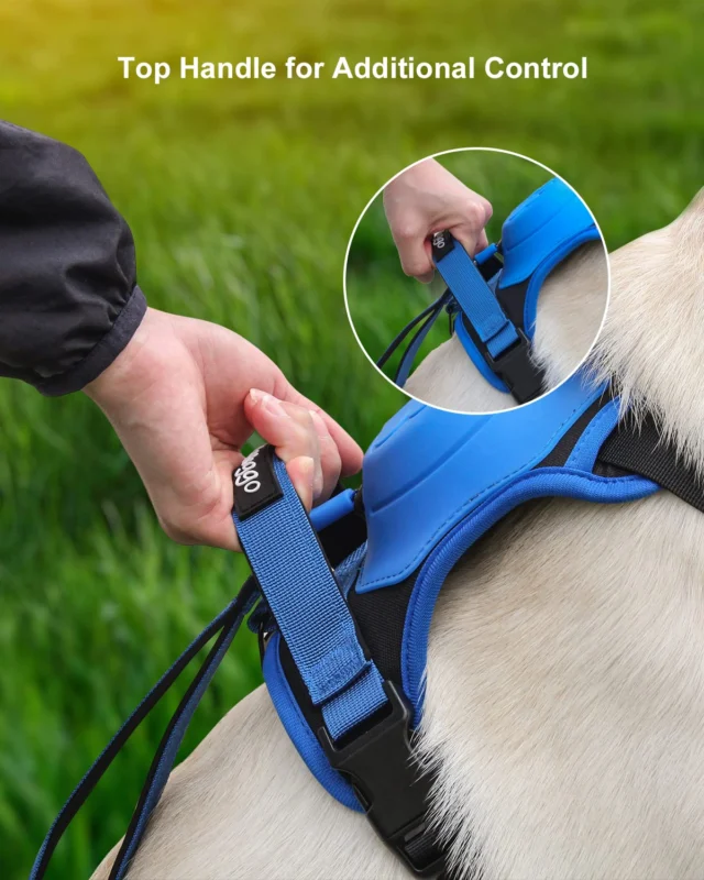 FlexiLeash | All-in-One Hundegeschirr mit einziehbarer Leine