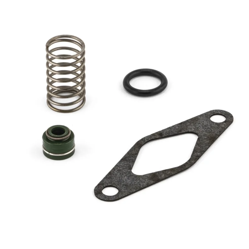 Aprilia RS 125 [alle Baujahre] - Schieber Ventilschaftdichtung Feder O-Ring Dichtung