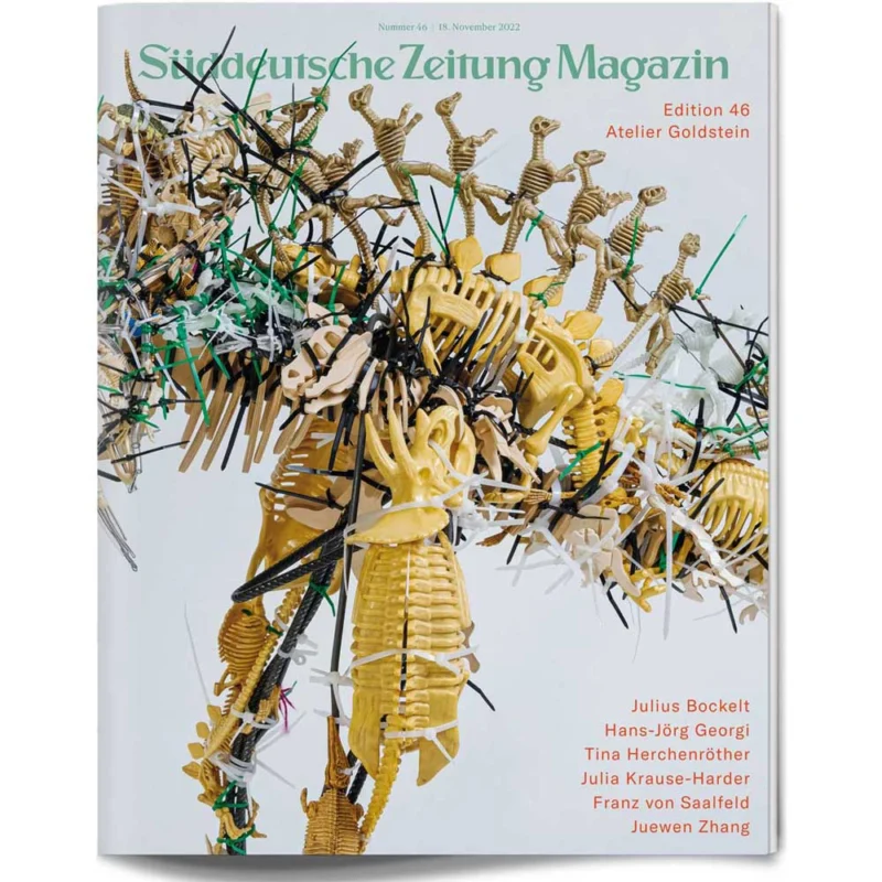 Titelseite des Süddeutsche Zeitung Magazins mit einer abstrakten Skulptur aus Skeletten und bunten Stöcken.