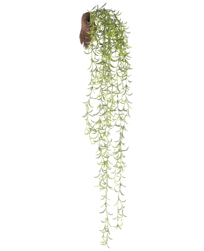 Die künstliche Hängepflanze Senecio 86 cm hat lange, grüne Sukkulentenstiele mit kleinen, schmalen Blättern, die aus einem braunen Wurzelballen hervorgehen, vor einem weißen Hintergrund.
