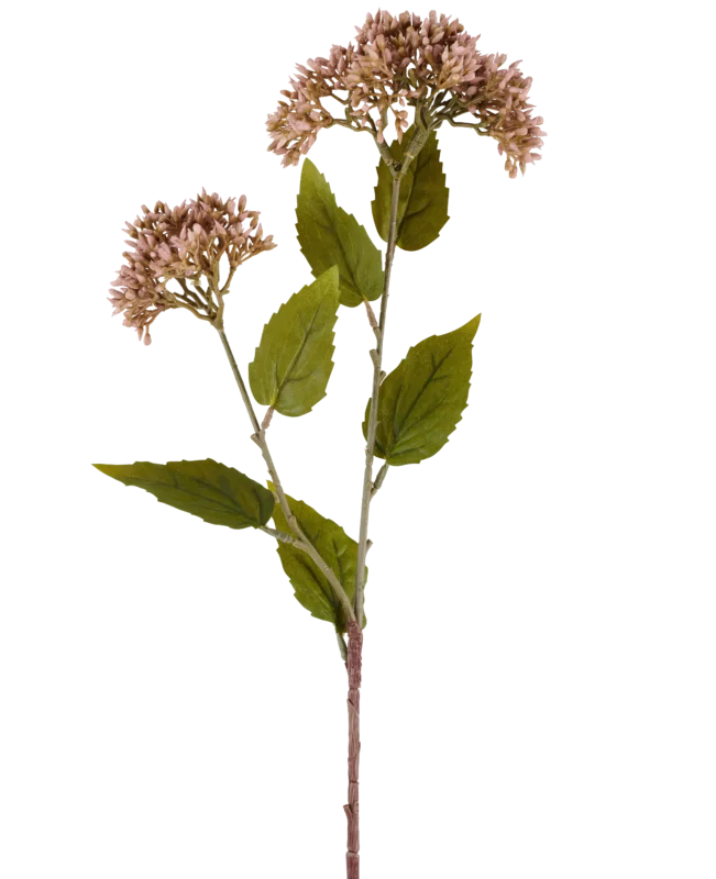 Ein einzelner Stiel der Kunstblume Sedum 67 cm lila hat zwei Büschel kleiner, helllila Blüten und zahlreiche grüne Blätter vor einem weißen Hintergrund.