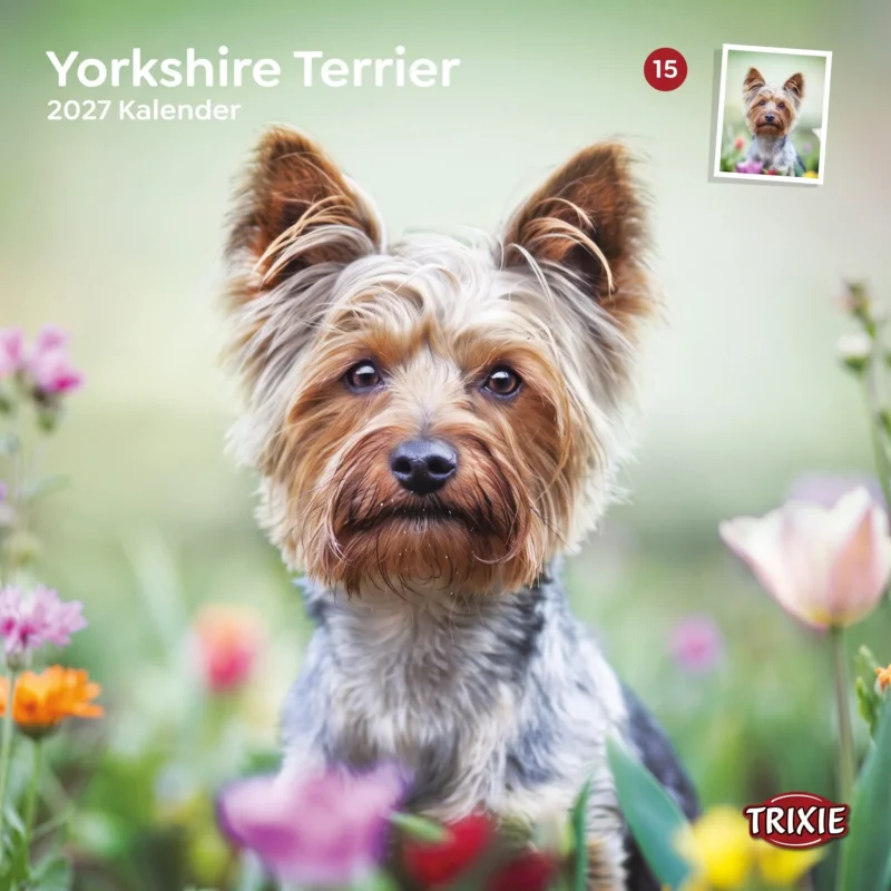 TRIXIE 2027 Kalender Yorkshire Terrier