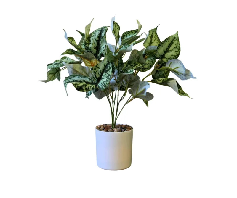 Kunstpflanze Kolbenfaden (Aglaonema) 40 cm im Topf