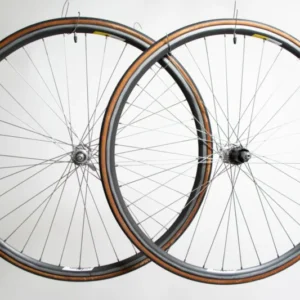 Campagnolo Chorus auf Campagnolo Omega 28" Laufradsatz
