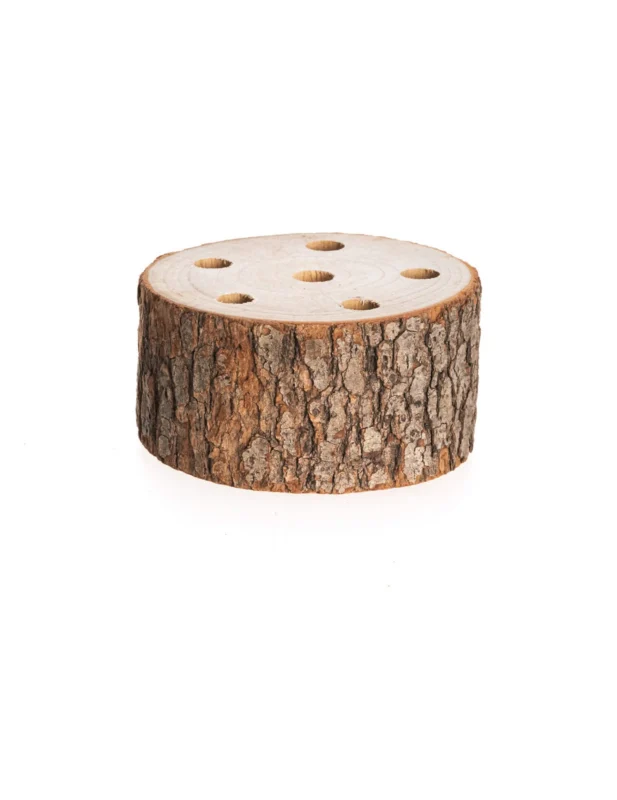 Rondin de bois support pour fleurs séchées pour décoration naturel à 6 trous