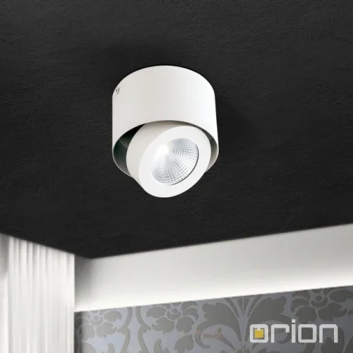 B-Ware Orion Schwenkbarer Led Aufbauspot Deckenlampe Deckenlampe Meno Weiß Dimmbar - 9003090250073