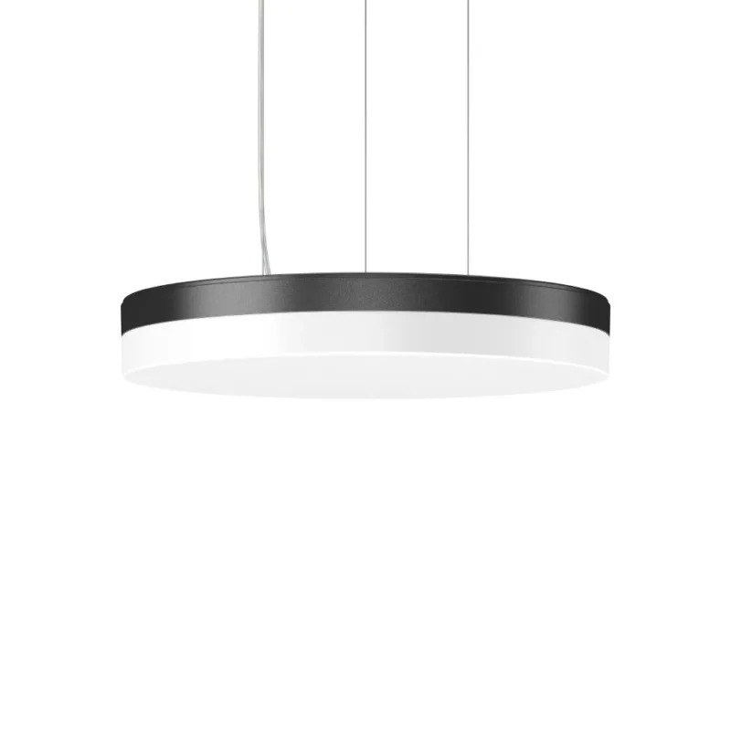RZB - Pendelleuchte LED-Pendelleuchte 312646.0031.730 830/840 ML s+f anthr